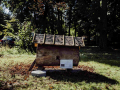 Anhill-Pszczela-Wola-30.09.2023-6