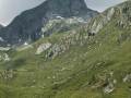 abpStB-Austria2019-IMG-20190729-WA0004