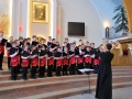 VII MS LSO (13)