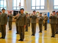 LSO24