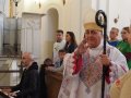 CM-synod-00003218