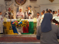 CM-synod-00003237
