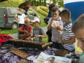 wawolnica18_PSZ_0025