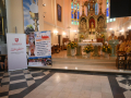 DSC_7350-Copy