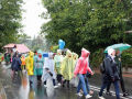 Wawolnica17-IMG_7867