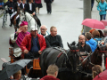 Wawolnica17-IMG_7922