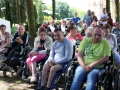 Dąbrowica_2017-IMG_6773