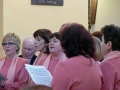 P1610781