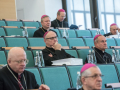013-377-zebranie-plenarne-kul-lublin-13102017_37640353682_o