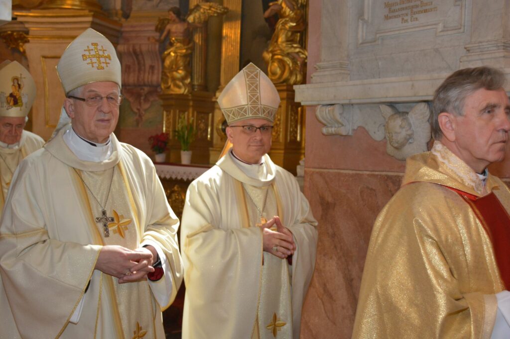 Dwunastu nowych kapłanów lubelskiej archidiecezji
